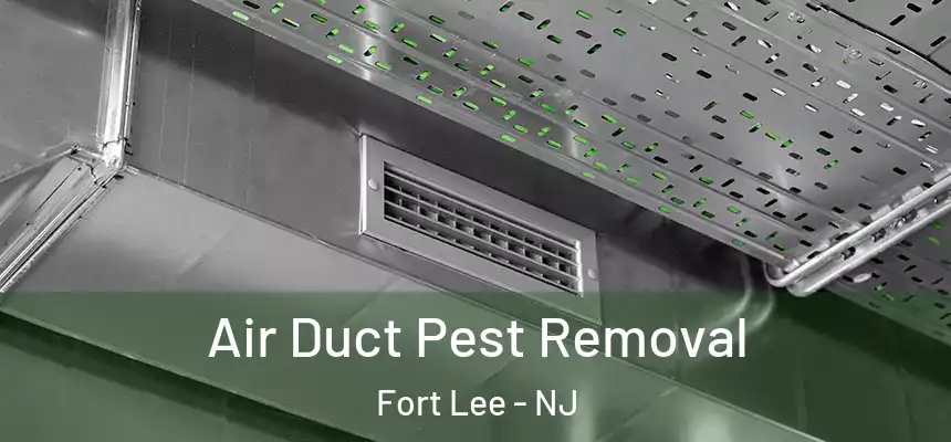  Air Duct Pest Removal Fort Lee - NJ