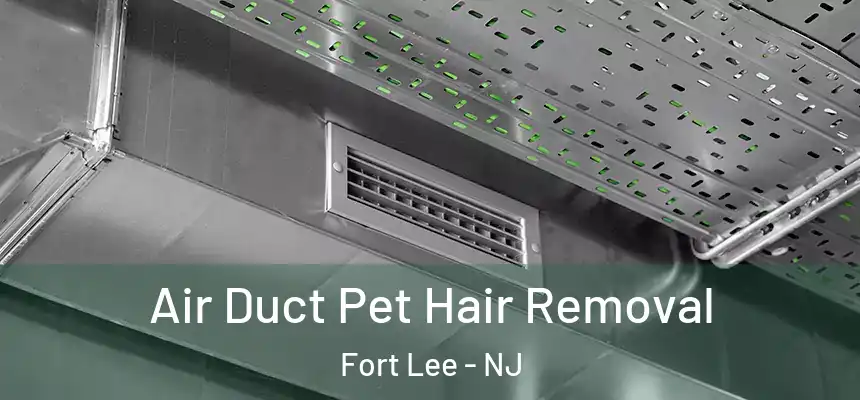 Air Duct Pet Hair Removal Fort Lee - NJ