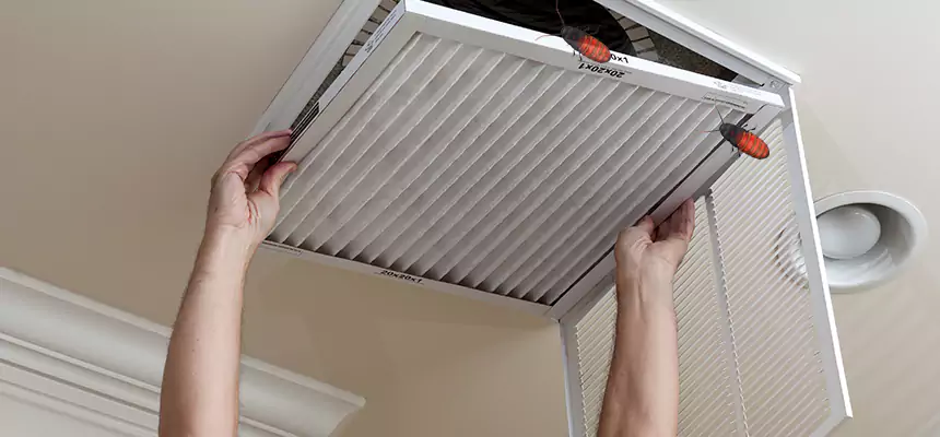 Preventive Cockroach-Proofing for Ducts in Fort Lee