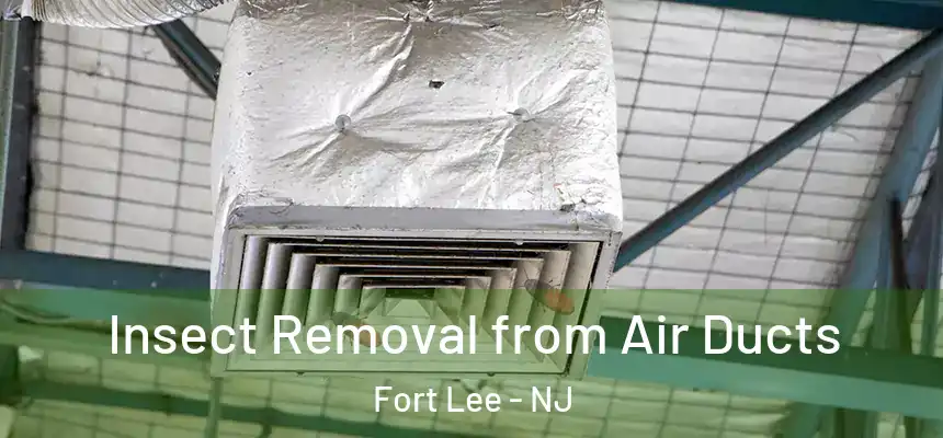  Insect Removal from Air Ducts Fort Lee - NJ