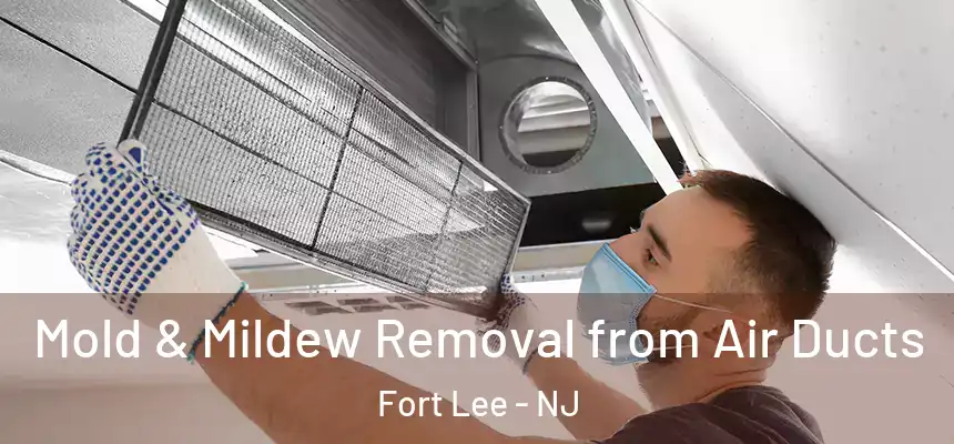  Mold & Mildew Removal from Air Ducts Fort Lee - NJ