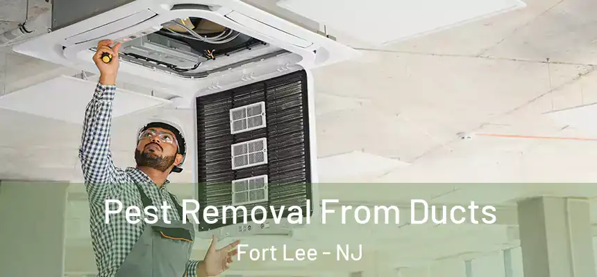 Pest Removal From Ducts Fort Lee - NJ
