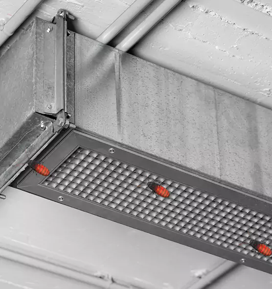 Affordable Insect Removal from Air Ducts in Fort Lee, NJ