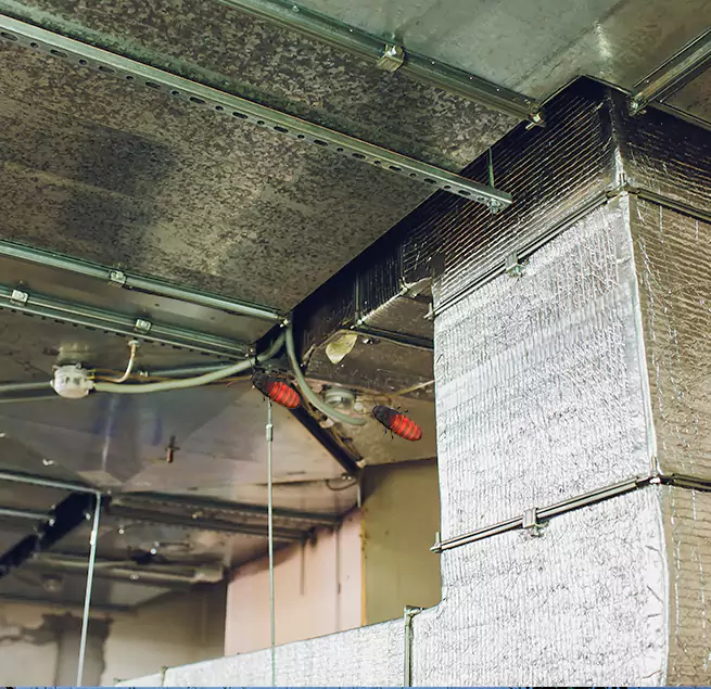 Why Homeowners & Businesses Trust Us in Fort Lee, NJ?