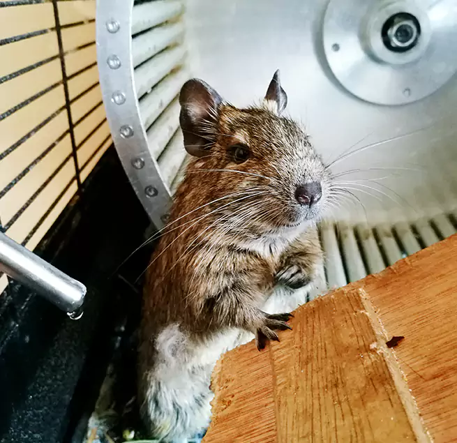 Why Homeowners & Businesses Trust Us Fort Lee, NJ